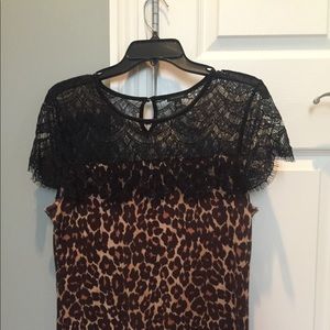 Ann Taylor short-sleeved sweater